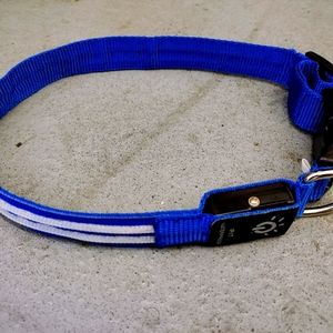 Safety dog collar